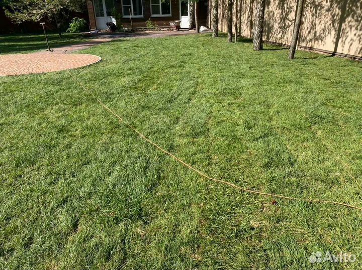 Укладка и продажа газона