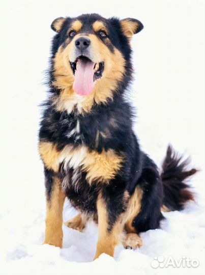 Атаман ищет родителей