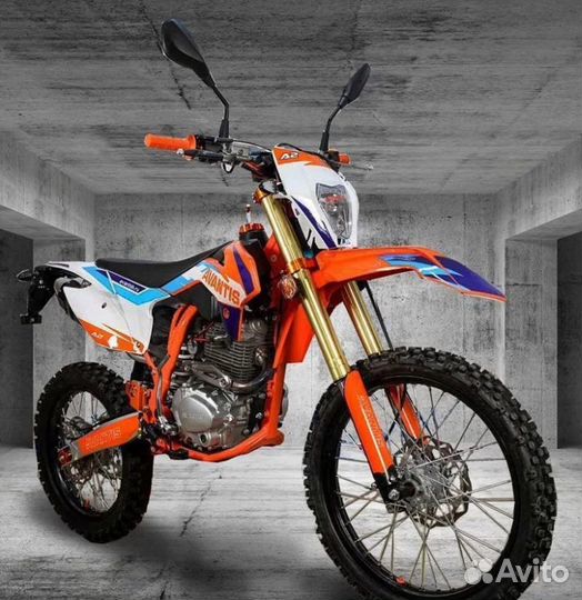 Avantis A2 (172FMM-5) 2023