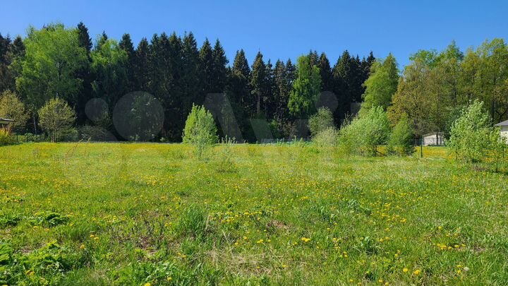 Участок 31,7 сот. (СНТ, ДНП)