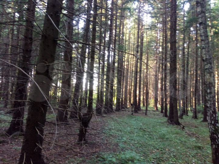 Участок 13 сот. (СНТ, ДНП)