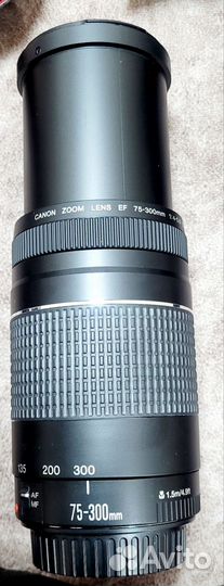 Canon EOS550D, cannon zoom lens EF75-300mm