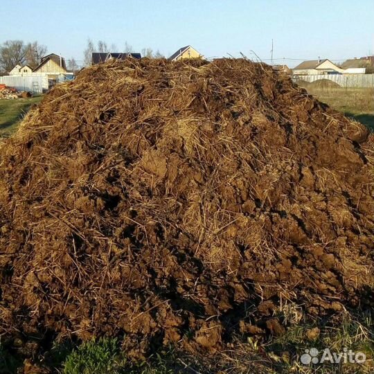 Навоз конский