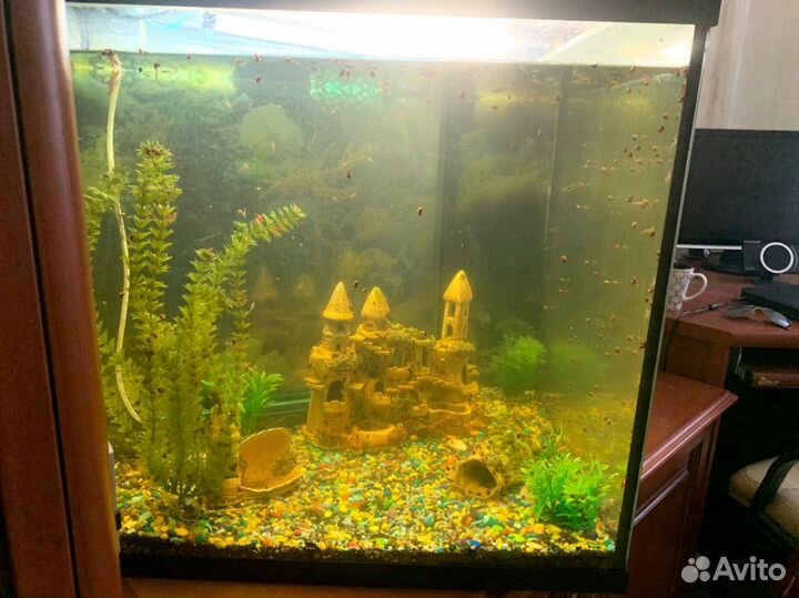 Аквариум 300л