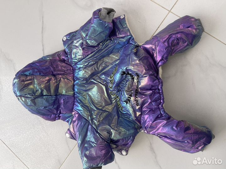 Одежда для собак мелких пород зима