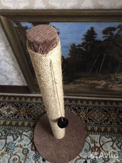 Когтеточка