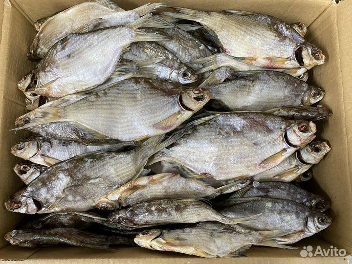 Густера вяленая