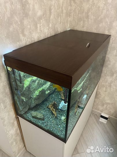 Аквариум на 500 литров