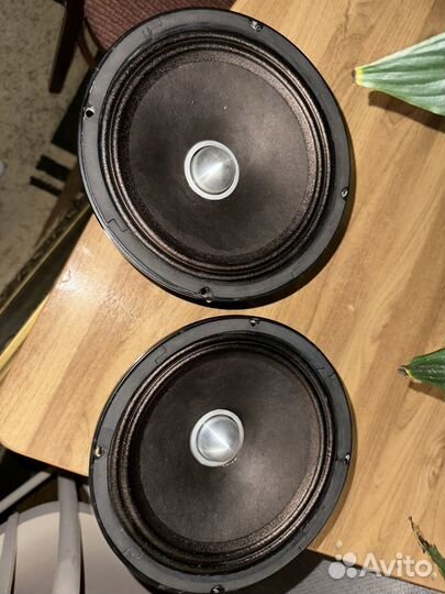 Динамики Momo HE 815, 20см 250вт