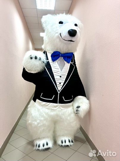 Большой белый мишка бурый мишка и панда