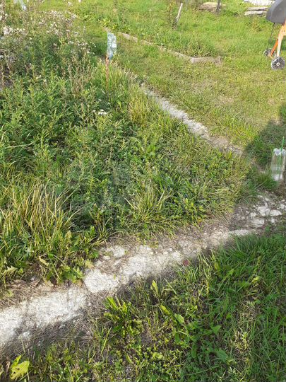 Участок 12 сот. (ИЖС)