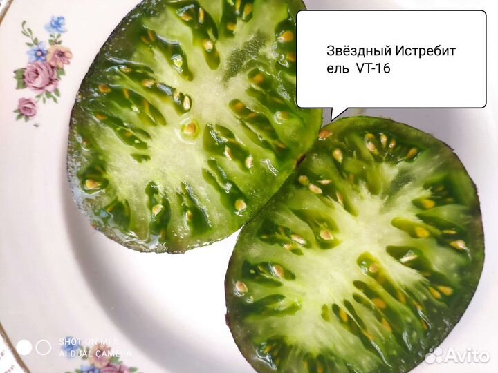 Семена помидоров томатов