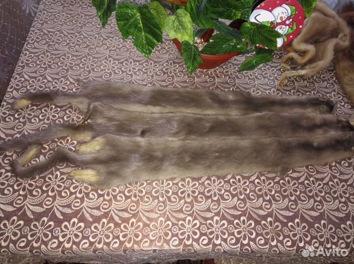 Шкурка животного