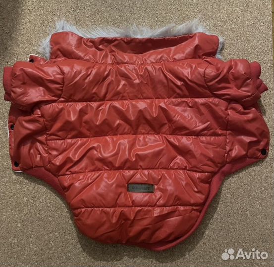 Одежда для собак мелких и средних пород