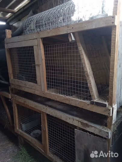 Продам клетки для кроликов
