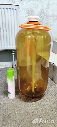 Кеги с ручкой 20 л 30 л Бесплатно