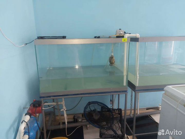 Аквариум