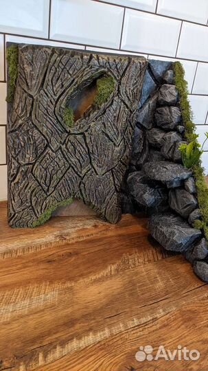 Укрытие, влажная камера, фон и террариум