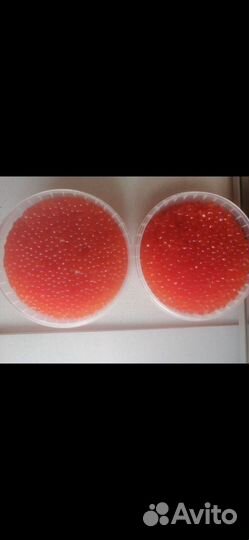 Красная икра 2023