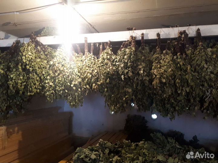 Дубовые веники для бани