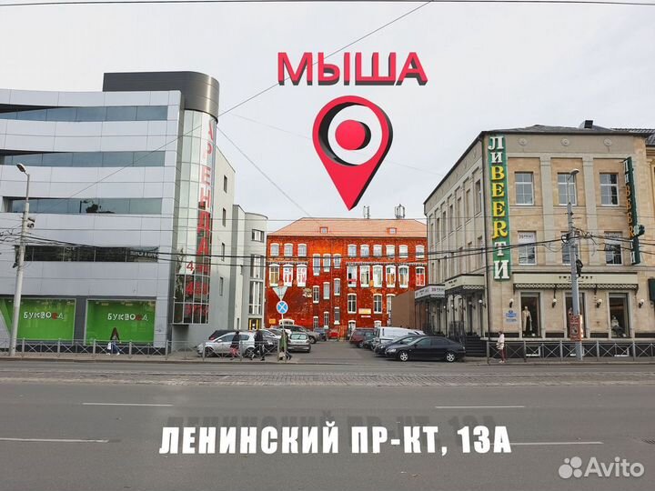 Большой выбор сетевого оборудования