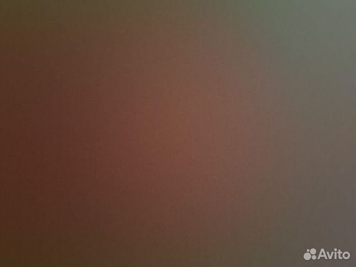 Черепаха сухопутная