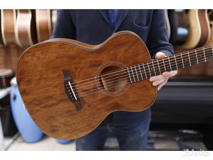 Parkwood S22M-NS с чехлом акустическая гитара