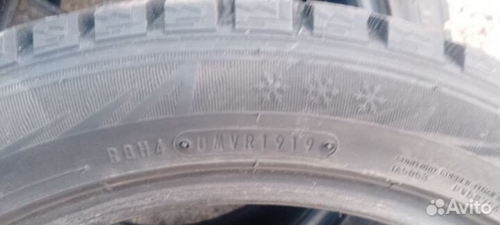 Dunlop Winter Maxx 205/50 R17 93