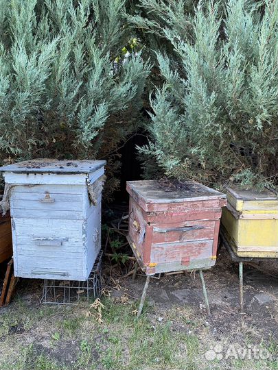 Продам ульи для пчел