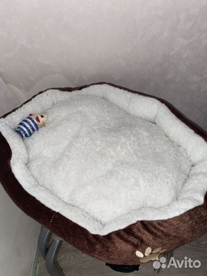 Лежанка для кошек