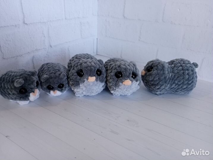 Хомяк из мема хомяк грустный хомяк