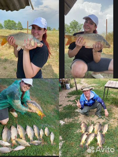 Рыбалка беседки на Озере