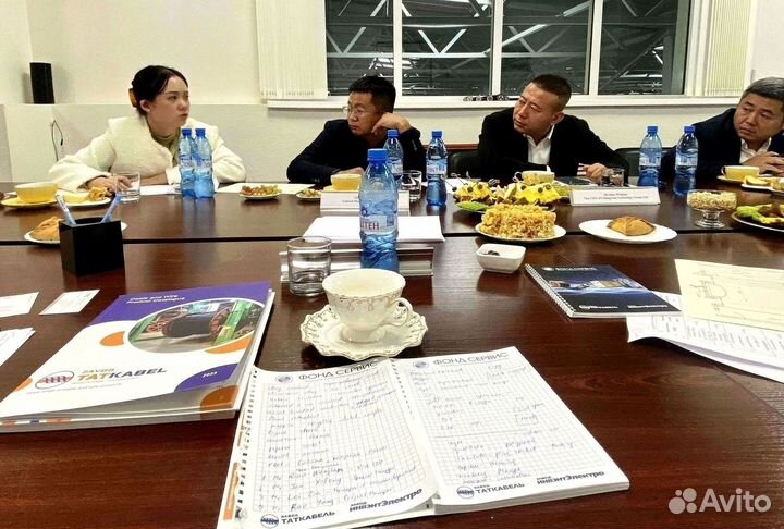 Технический переводчик Английского и Китайского