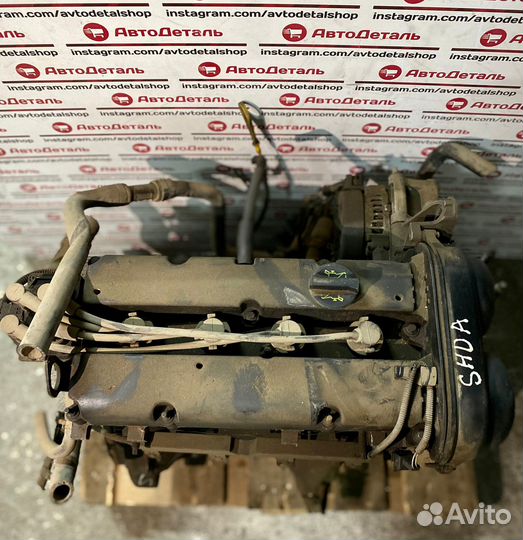 Контрактный двигатель shdb Ford 1.6