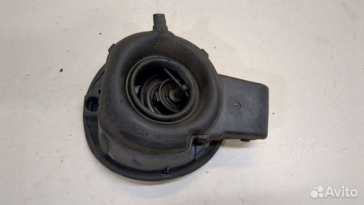 Лючок бензобака Volkswagen Tiguan, 2008