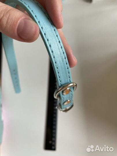 Ошейник для собак