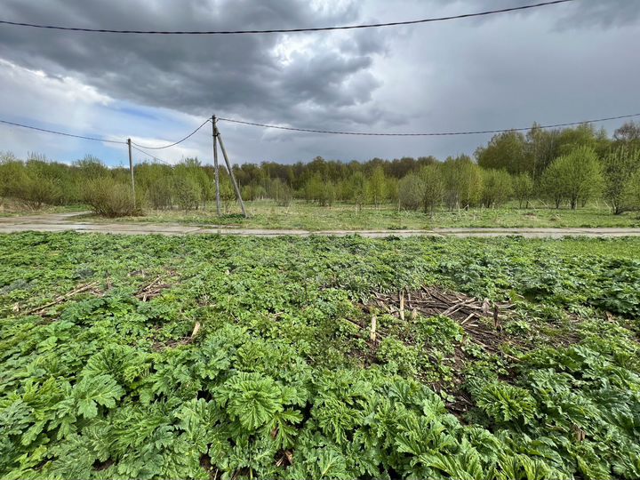 Участок 10 сот. (СНТ, ДНП)