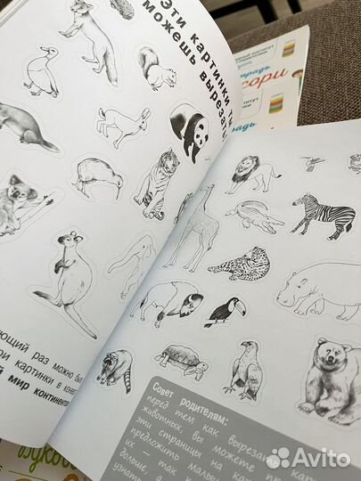 Я учусь с montessori курс упражнений