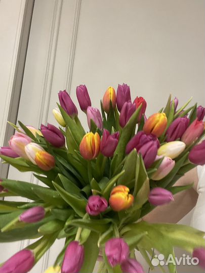 Цветы тюльпаны и букеты с доставкой