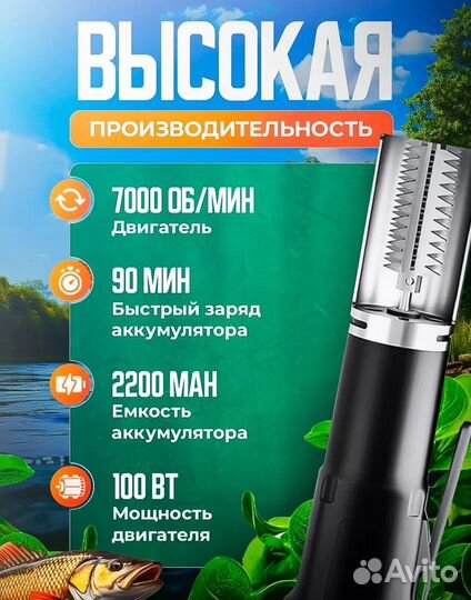 Рыбочистка аккумуляторная