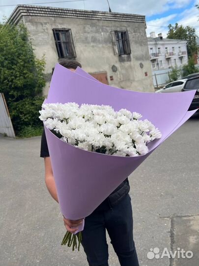 Хризантема