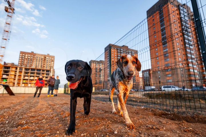 1-к. квартира, 33,3 м², 1/18 эт.