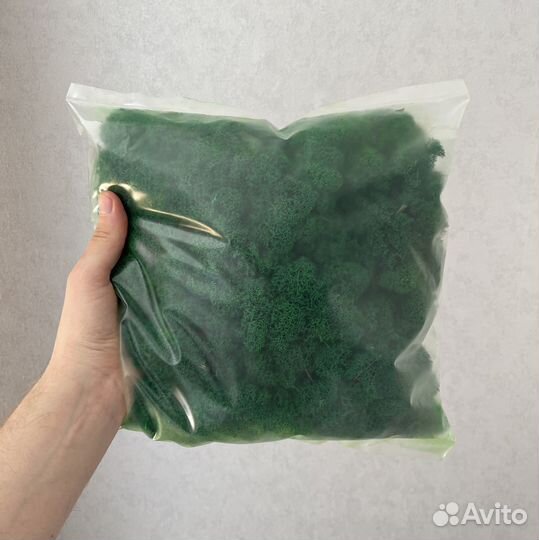 Стабилизированный мох, Оливковый