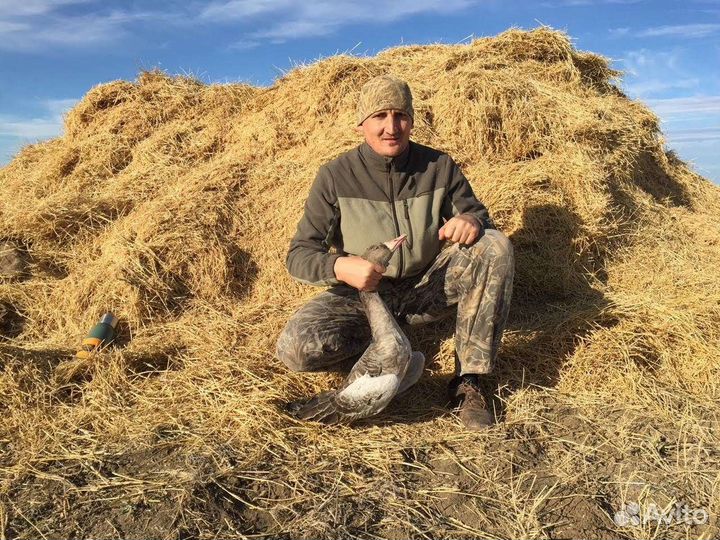 Охота на гуся