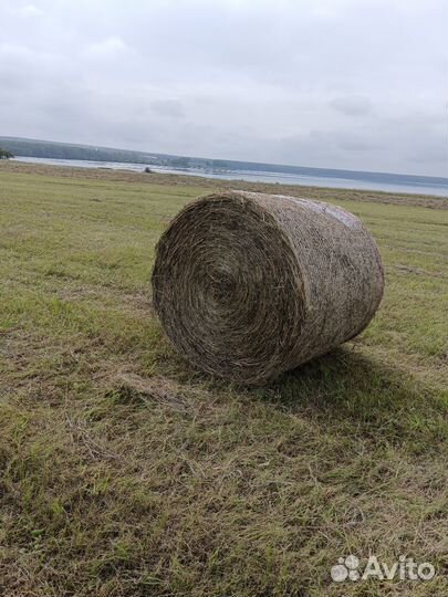 Сено в рулонах