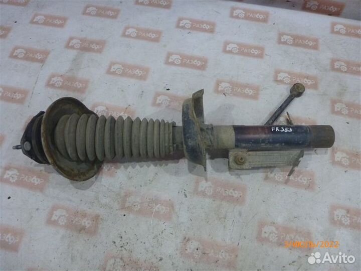 Амортизатор передний правый Ford Focus DBW