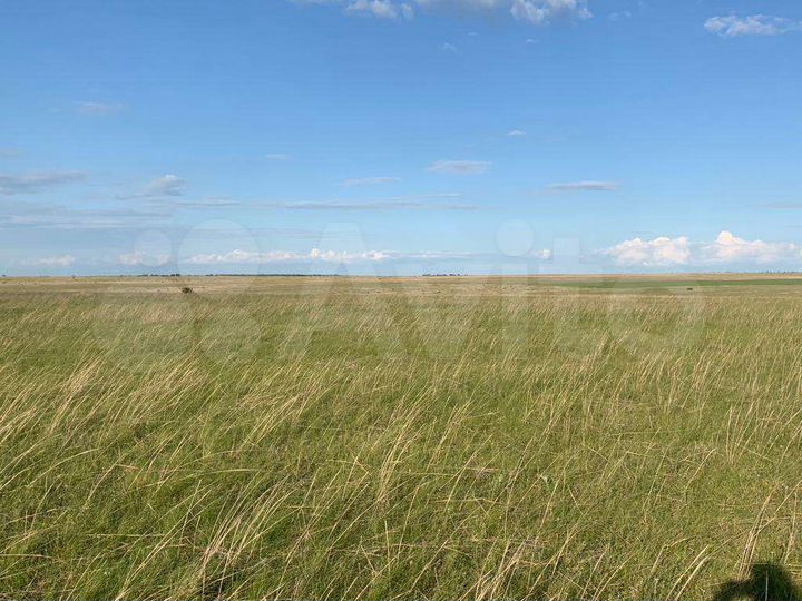 Участок 100 сот. (СНТ, ДНП)