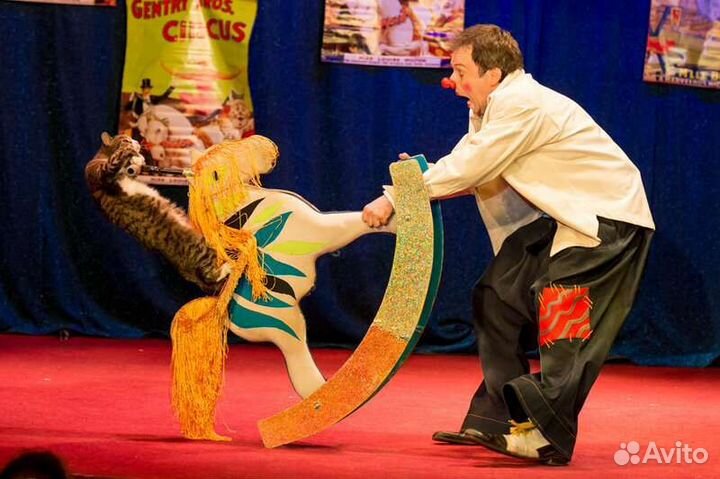 Билеты в театр кошек Куклачева 23,24 сентября