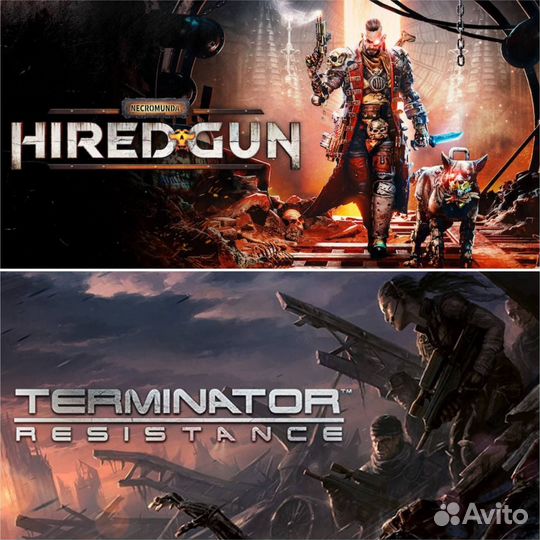 Terminator resistance Ps4 Ps5