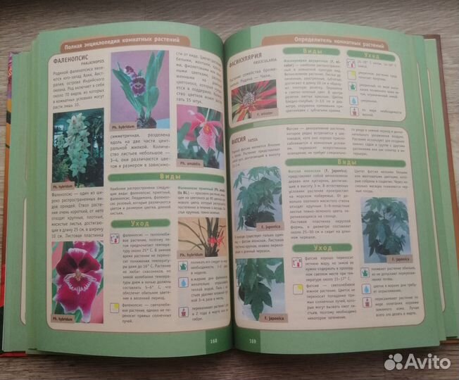 Полная энциклопедия комнатных растений